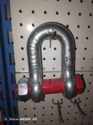 9ton D Shackle Screw and Pin