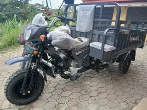 New Tricycle 2025 Gray