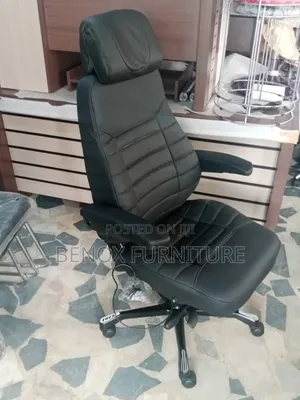 Excellency Executive Ergonomics Leather/Orthopedic Chair