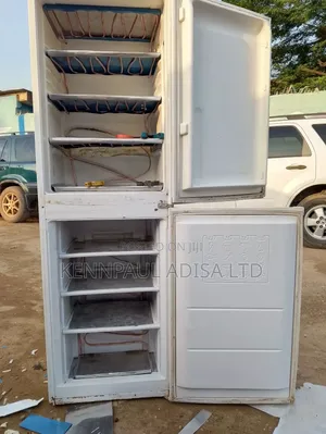Standing Upright Freezer