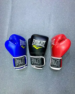New Boxing Gloves (Everlast)
