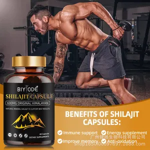 Shilajit Capsule With Himalayan