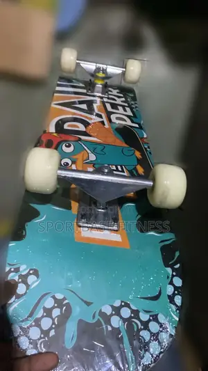 Skate Boards