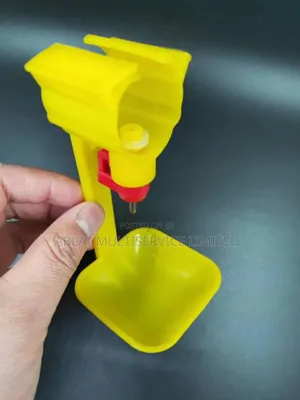 Nipples With Cup