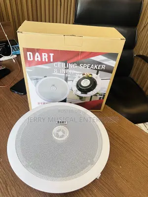 Dart100watts Ceiling Speakers
