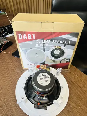 100watts Ceiling Speakers