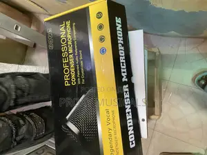 Legendary Vocal Condenser Microphone