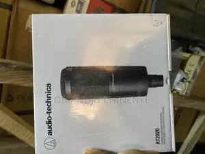 Audio Technica At2020