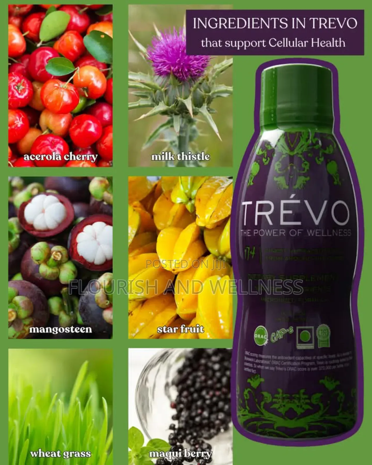 Trevo Powerful Immune Booster