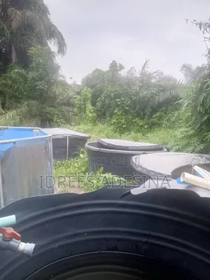 Fish Pond for Rent