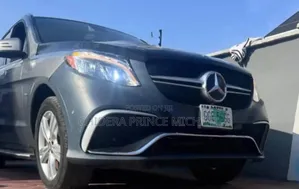 Front and Back Bumper for Gle350 2018 Model