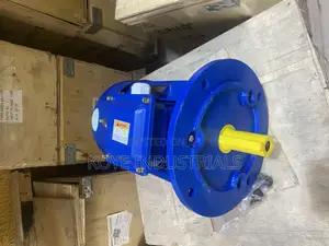 Electric Motor