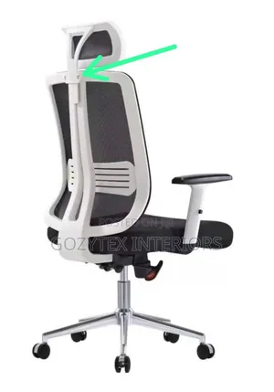Mesh Executive Office Chair