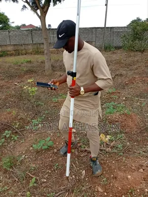 Professional Surveyor