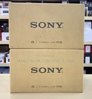 Sony Camera FX30 Body Only