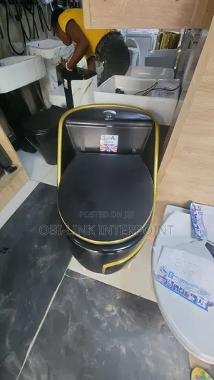 Black and Gold Wc With Inbuit Tank
