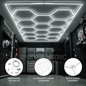 Futuristic Hexagon Led Ceiling Mounted Flush