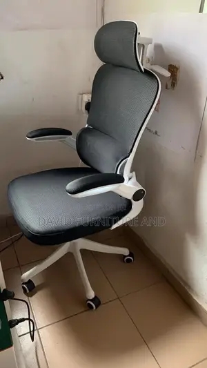Executive Comfort Chair (Ergonomic)