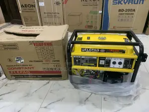 Elepaq Sv22000e2 – Constant Output, Maximum Reliability