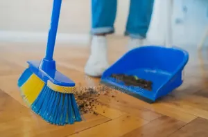 Premium Home Cleaning Services and Fumigation