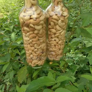 Cashew Nuts, Roasted Cashew Nuts