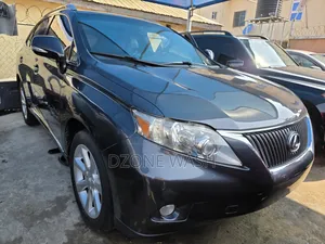 Lexus RX 2010 Gray