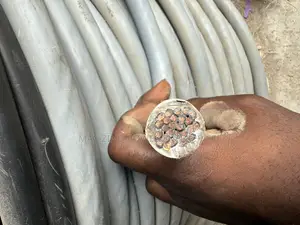 2.5mm X25 Core Flexible Cable
