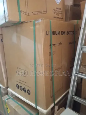 48v Blue Carbon Lithium Iron Battery