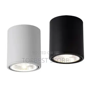 High Quality Led Downlight Cob Surface Mounted Ceiling Lamp