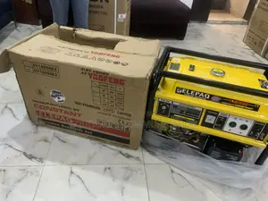 Affordable Elepaq 11kva Generator for Home Office Use