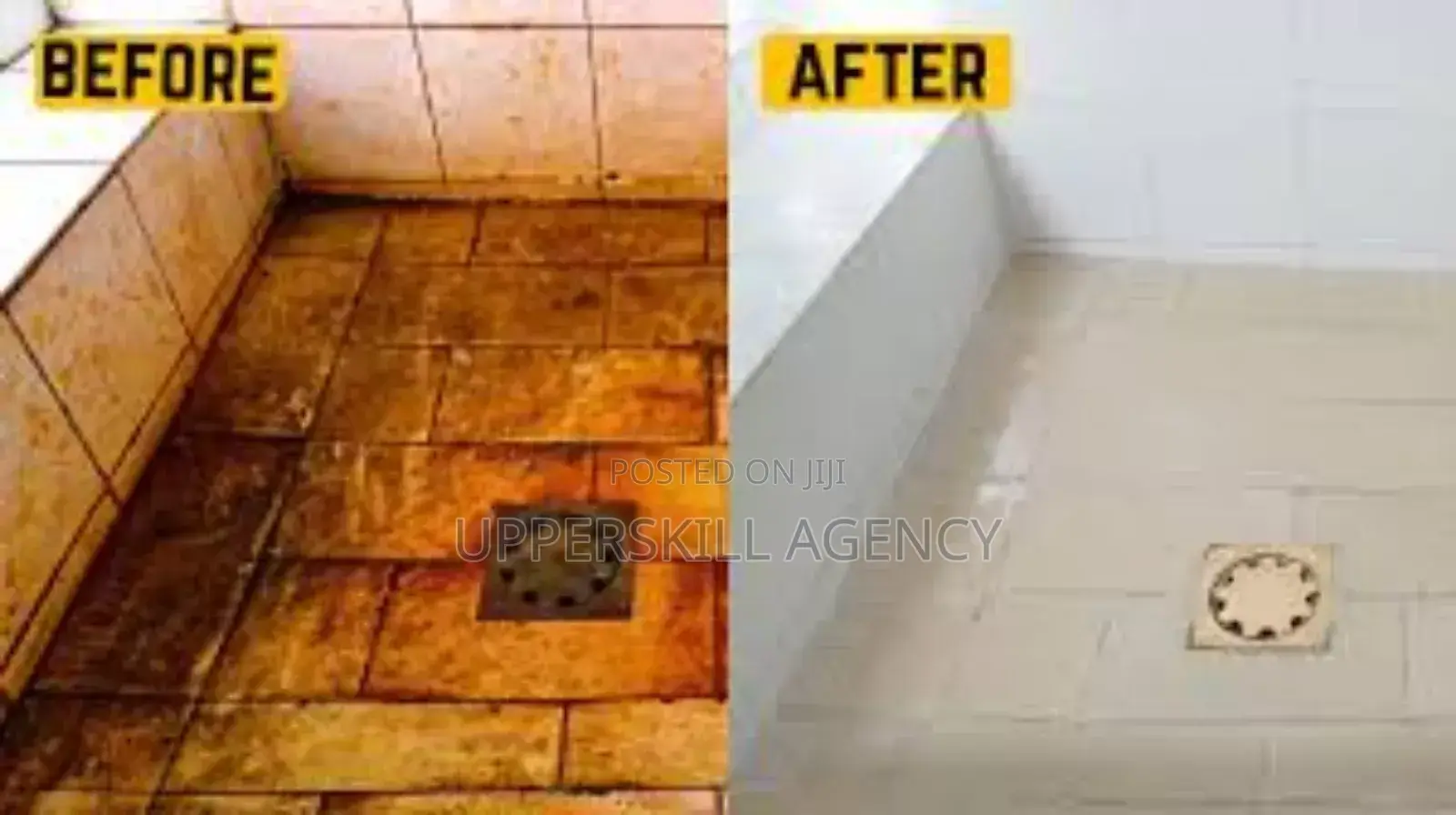 Professional Cleaning Services