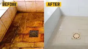 Professional Cleaning Services