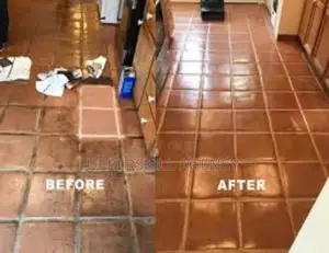 Professional Cleaning Services