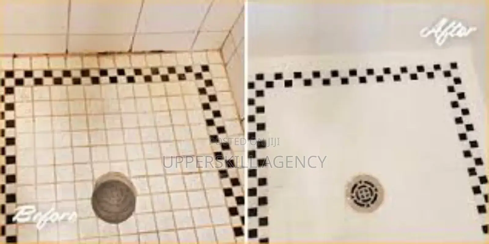 Professional Cleaning Services