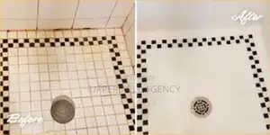Professional Cleaning Services