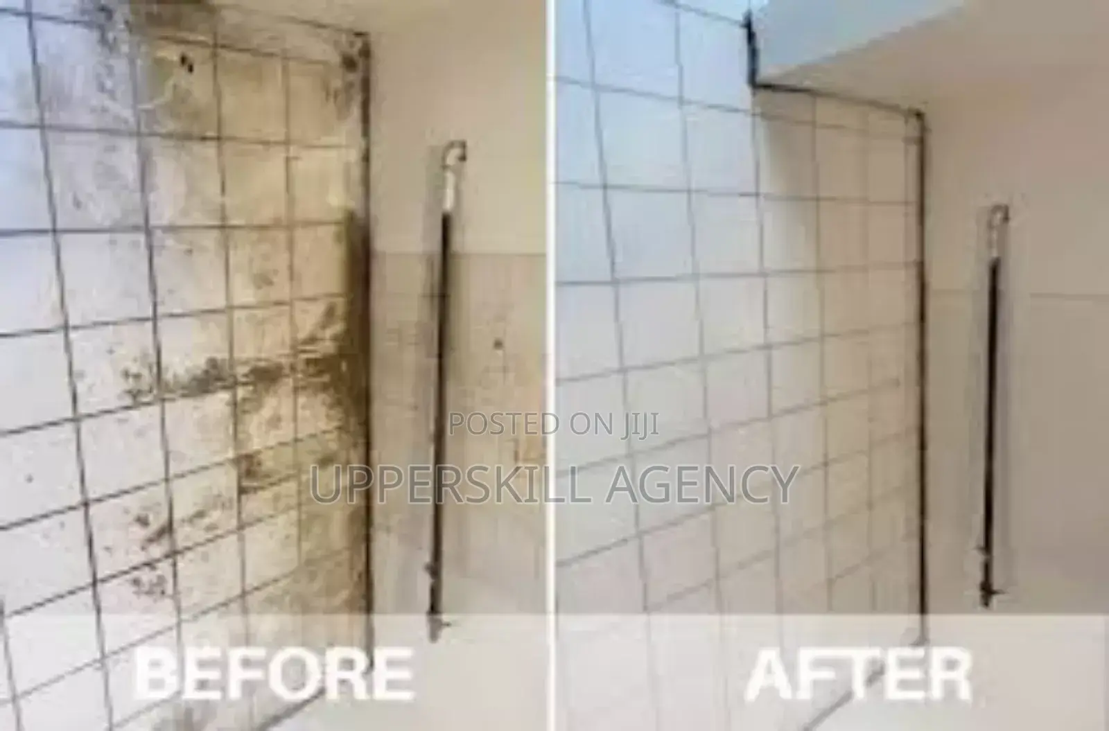 Professional Cleaning Services