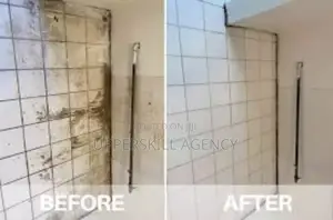 Professional Cleaning Services