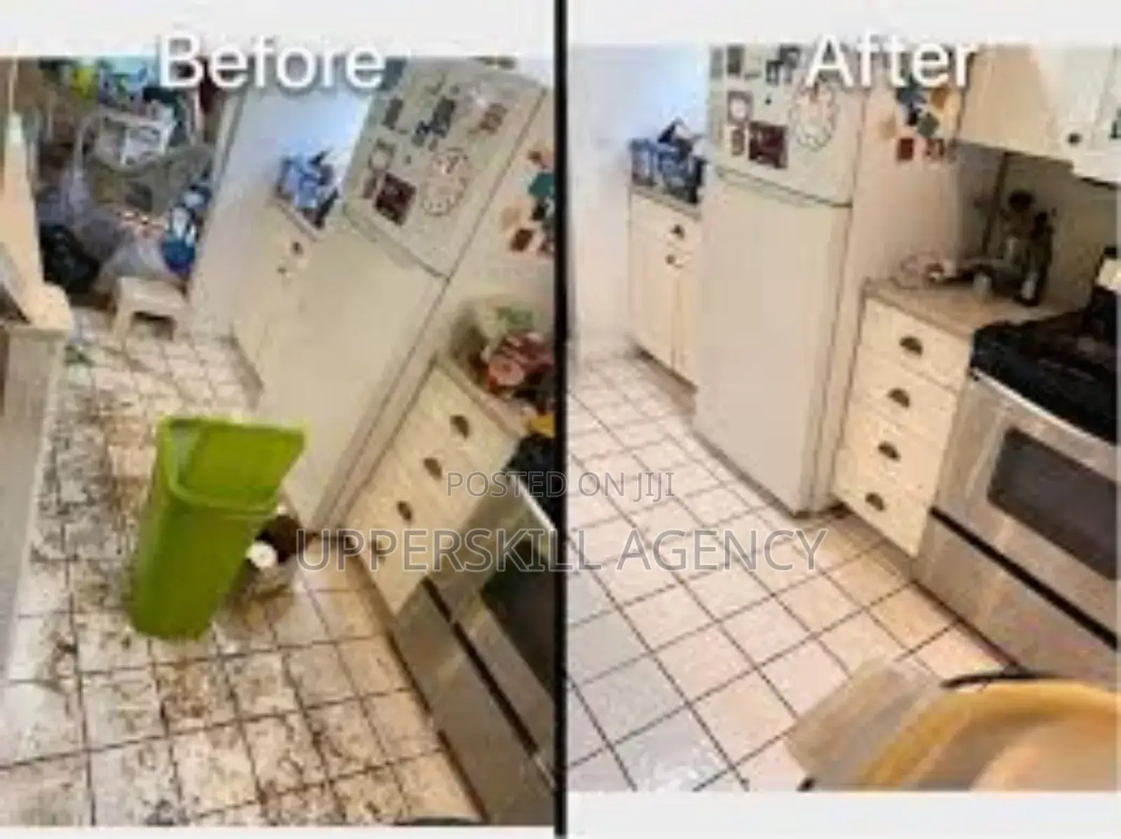 Professional Cleaning Services