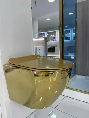Gold And White Wall Hung Water Closet With Tank