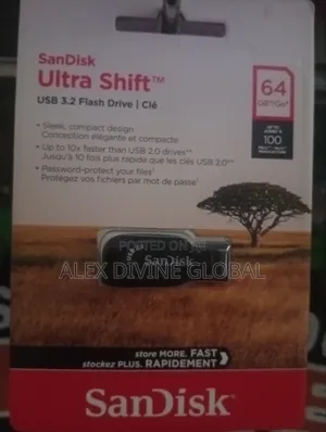 Sandisk Flash