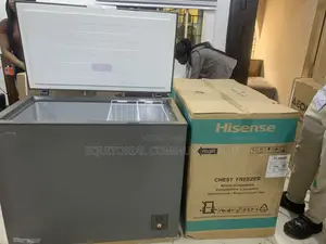 Hisense 250l Chest Freezer – Safe, Spacious, Silver