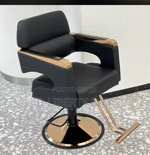 Salon Chair