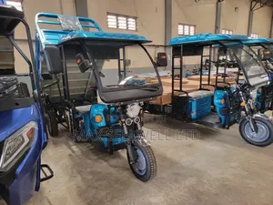 New Tricycle 2025 Blue