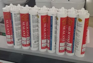 Silicone Gum