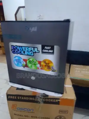 Royal 55 Litres Fridge – Portable Size