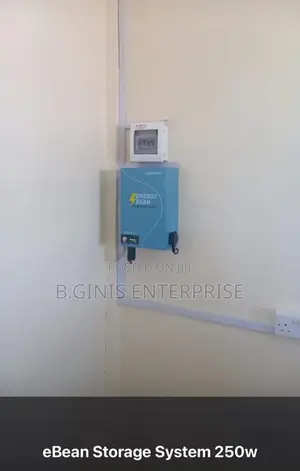 1 Kw Solar Generator With 200w Panel