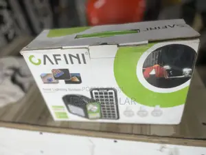 Solar Lighting And Charging Systems
