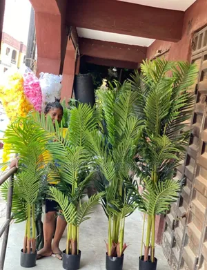 Palm Flower Plant