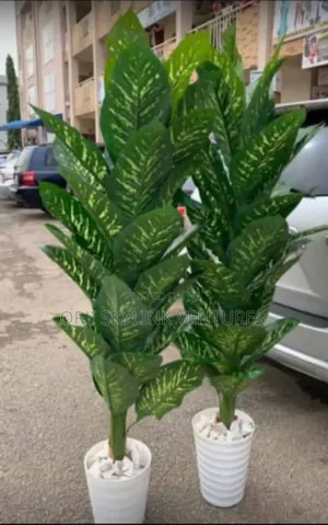 5ft Height Flower Plant