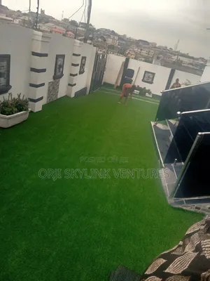 Green Carpet Grass